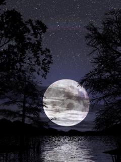 Other Wallpapers 0681